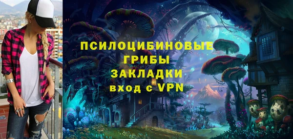 ECSTASY Абаза