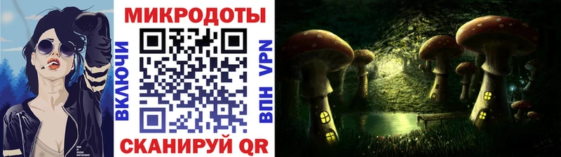Псилоцибиновые грибы мухоморы  блэк спрут сайт  Шали  как найти закладки 