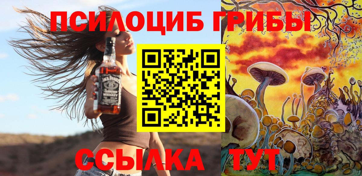 Шали  Псилоцибиновые грибы мухоморы  Вход с VPN  Псилоцибиновые грибы мицелий 