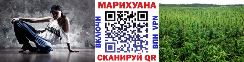 Каннабис сатива  как найти наркотики  Шали 
